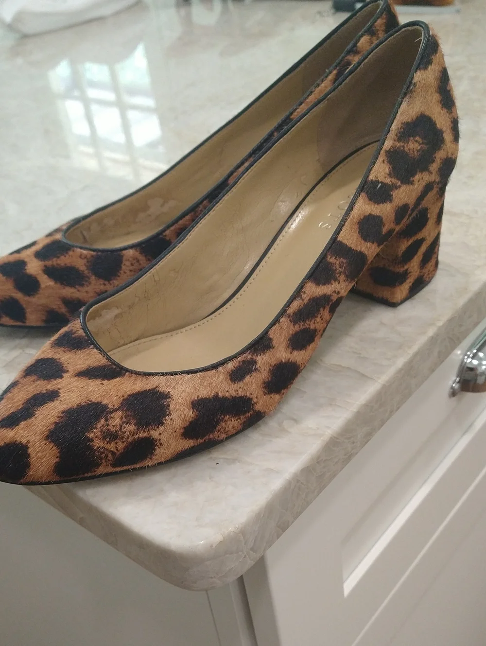 Leopard Print Talbots Block Heel Calf Hair  Pumps - Women Sz 9